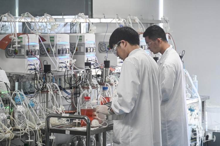 国产抗癌药登顶全球之巅 中山药企迎来生物技术行业的“DeepSeek时刻”