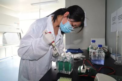 聚焦创新赋能，县域经济转型新引擎 生物技术研发助力突破发展瓶颈