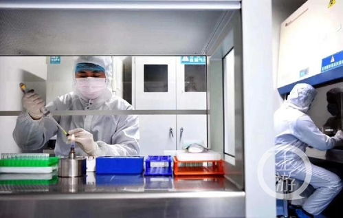 深耕生物医药创新研发 重庆企业荣获中国科技创新贡献奖背后的硬核逻辑